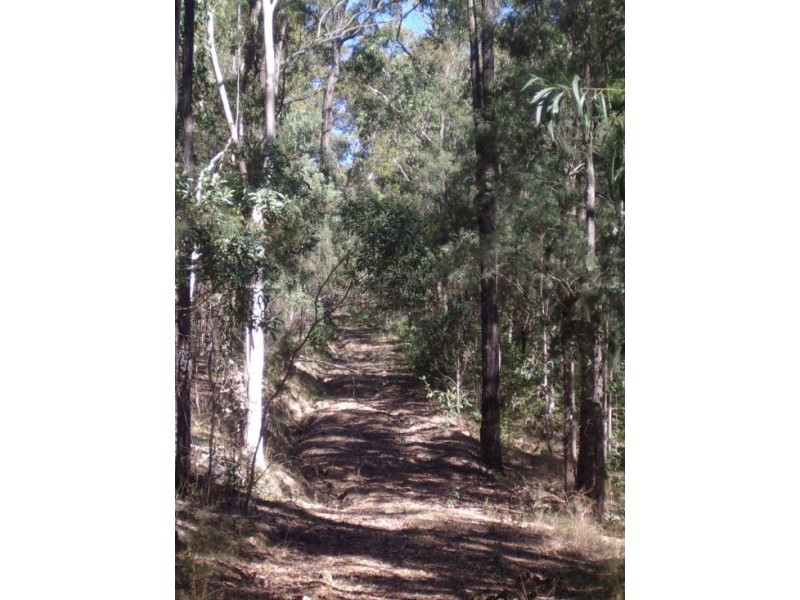 202 Bellbird Rd, Drake NSW 2469