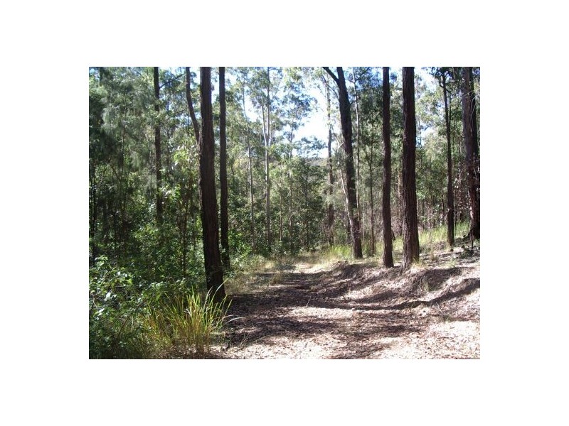 202 Bellbird Rd, Drake NSW 2469