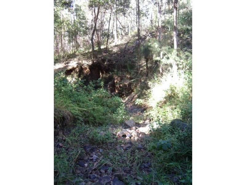 202 Bellbird Rd, Drake NSW 2469