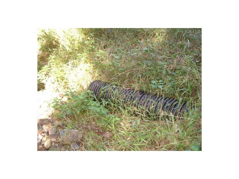 202 Bellbird Rd, Drake NSW 2469