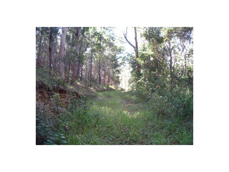 202 Bellbird Rd, Drake NSW 2469