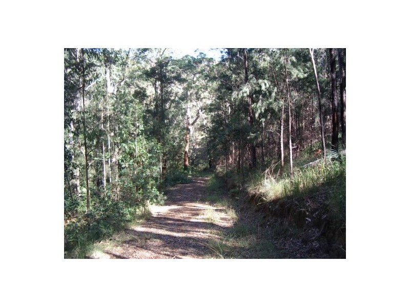 202 Bellbird Rd, Drake NSW 2469