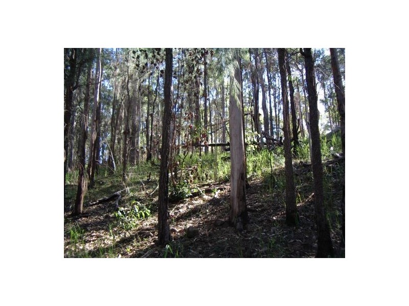 202 Bellbird Rd, Drake NSW 2469