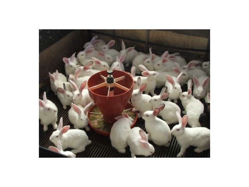 353 Green Pigeon Road, Kyogle NSW 2474