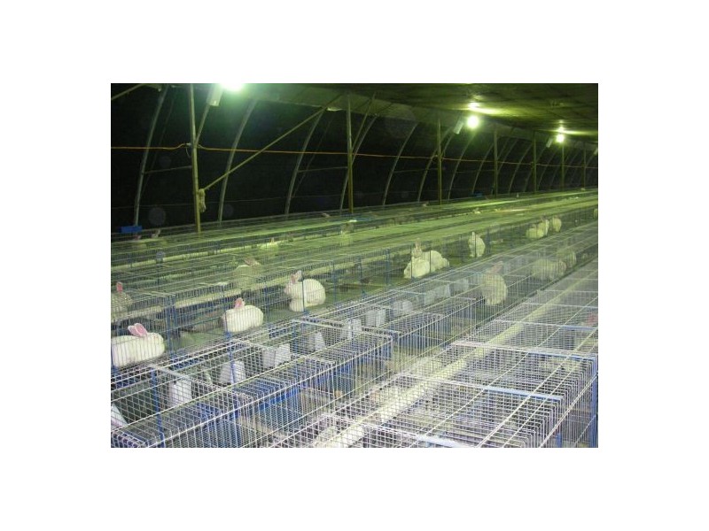 353 Green Pigeon Road, Kyogle NSW 2474