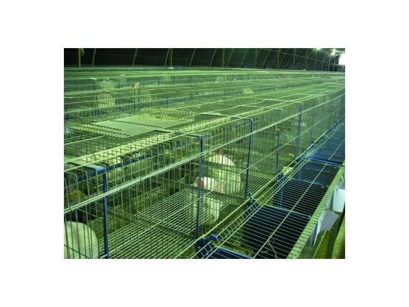 353 Green Pigeon Road, Kyogle NSW 2474