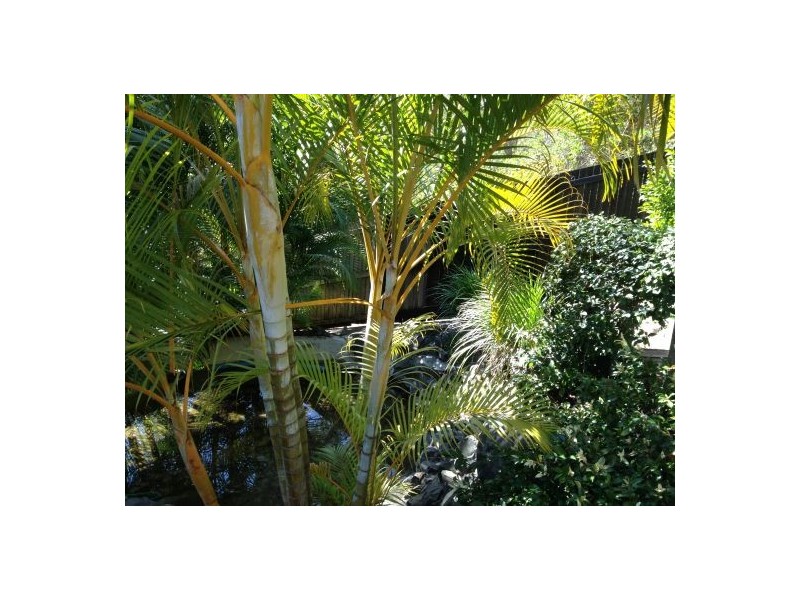 2-4 Hill street, Kyogle NSW 2474