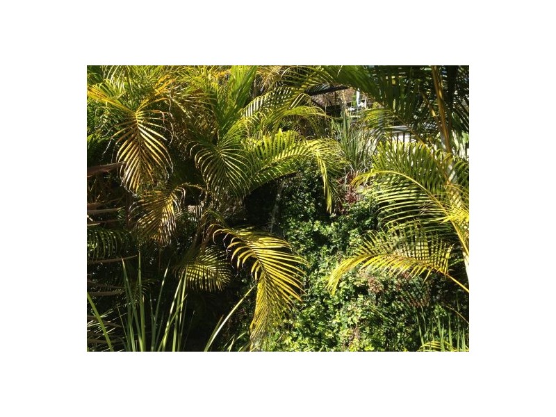 2-4 Hill street, Kyogle NSW 2474