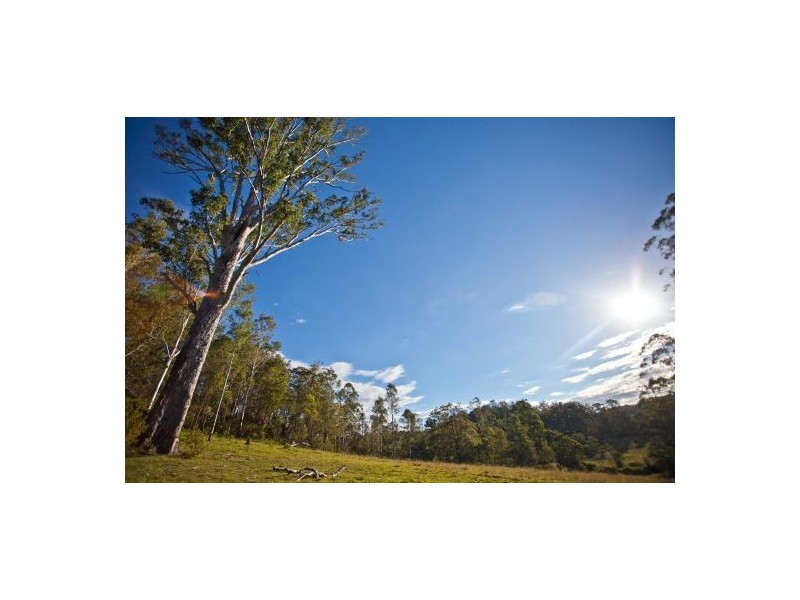 Lot 57 Mongogarie Road, Mongogarie NSW 2470