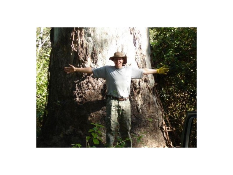 Lot 57 Mongogarie Road, Mongogarie NSW 2470