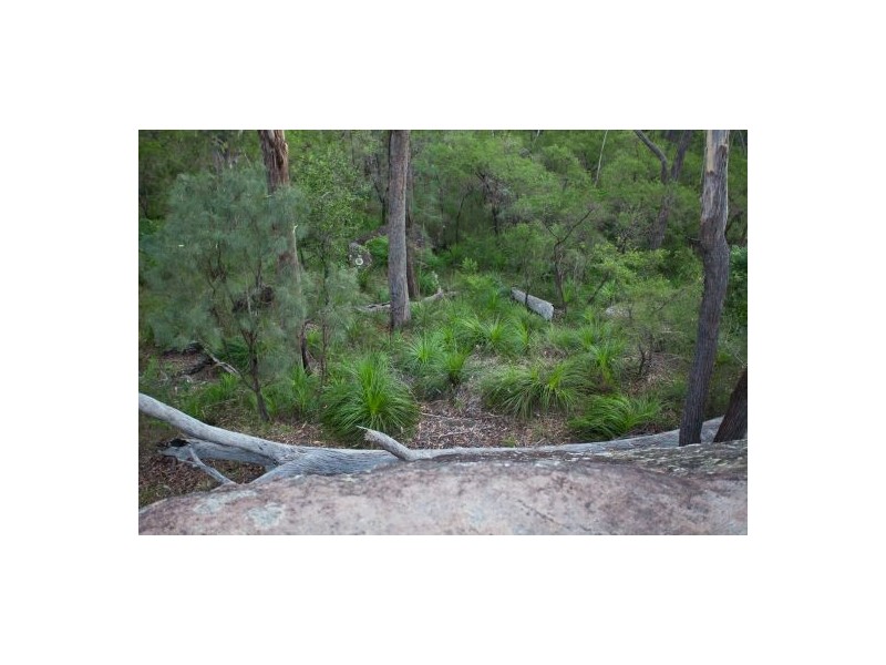 29 Mongogarie Road, Mongogarie NSW 2470