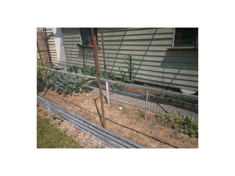 35 Oak Street, Bonalbo NSW 2469