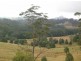 3 Cullen, Nimbin NSW 2480