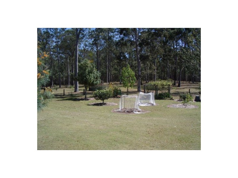 98 Ewingar Ridge Rd, Ewingar NSW 2469