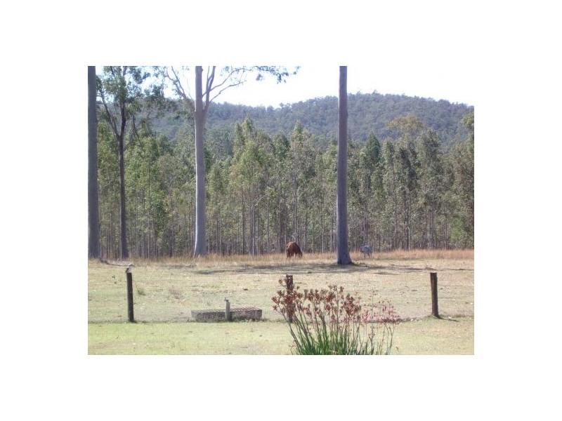 98 Ewingar Ridge Rd, Ewingar NSW 2469