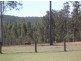 98 Ewingar Ridge Rd, Ewingar NSW 2469