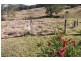 1703 Collins Creek Rd, Kyogle NSW 2474
