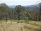 148 Newtons Road Lower Eden Creek, Kyogle NSW 2474