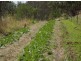 148 Newtons Road Lower Eden Creek, Kyogle NSW 2474