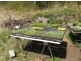 148 Newtons Road Lower Eden Creek, Kyogle NSW 2474