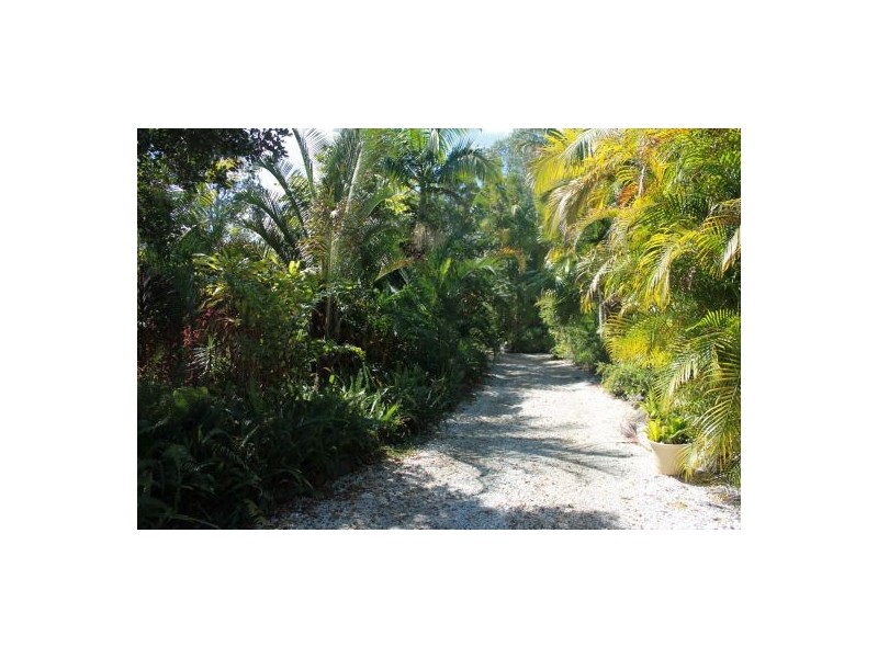 43 Basil Rd, Nimbin NSW 2480