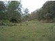 Lot 53 Mud Flat Rd, Drake NSW 2469