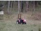 Lot 53 Mud Flat Rd, Drake NSW 2469