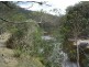 Lot 53 Mud Flat Rd, Drake NSW 2469