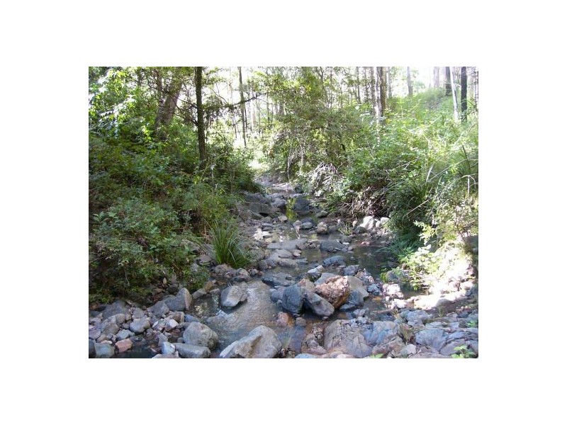 Lot 53 Mud Flat Rd, Drake NSW 2469