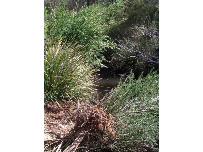 Lot 2 Rover Park Rd, Sandy Hill NSW 2372