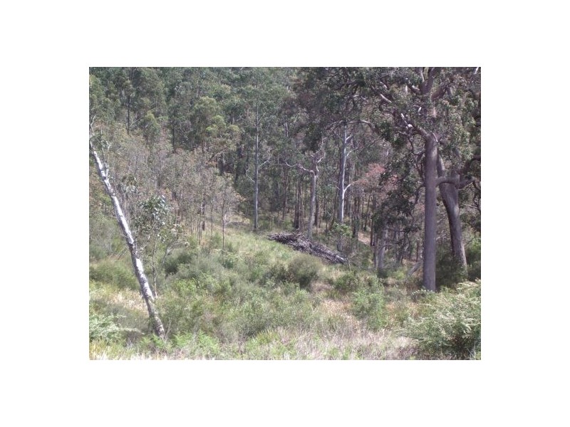 Lot 2 Rover Park Rd, Sandy Hill NSW 2372