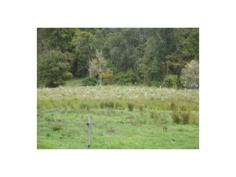 265 O’Neill Rd Via Bentley, Lismore NSW 2480