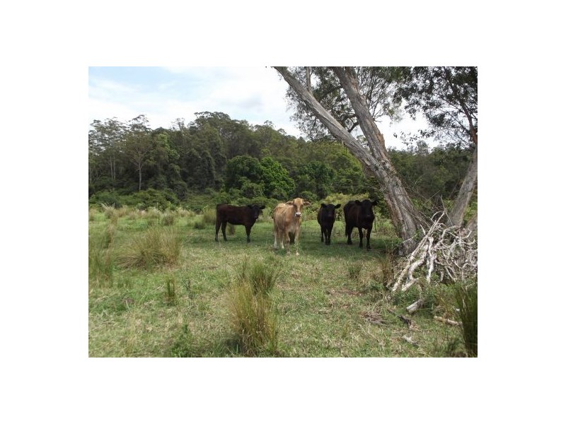 265 O’Neill Rd Via Bentley, Lismore NSW 2480