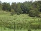 265 O’Neill Rd Via Bentley, Lismore NSW 2480