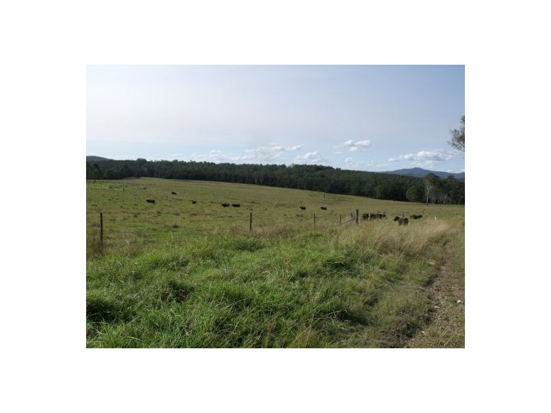 771 Ewingar Road, Ewingar NSW 2469