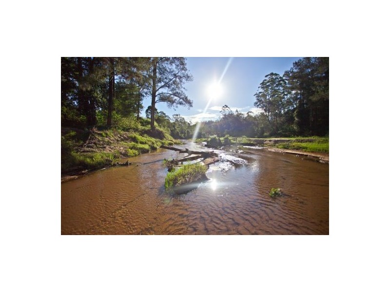 1350 Mongogarie Road, Mongogarie NSW 2470