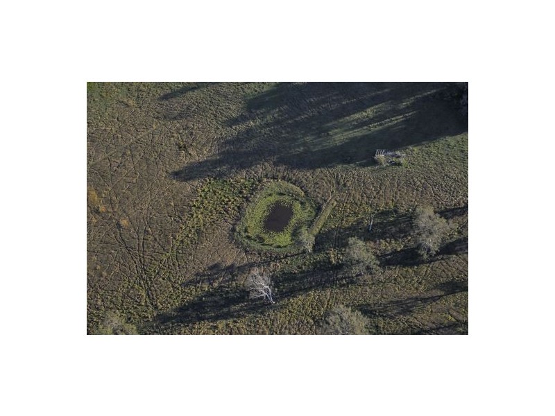 1350 Mongogarie Road, Mongogarie NSW 2470