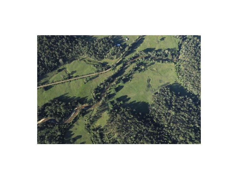 1350 Mongogarie Road, Mongogarie NSW 2470