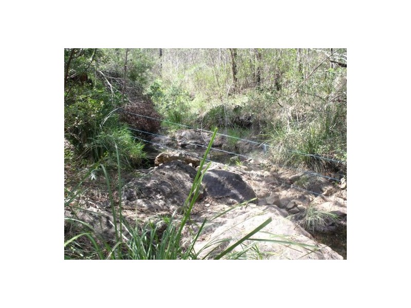 342 Ewingar Ridge Road, Ewingar NSW 2469