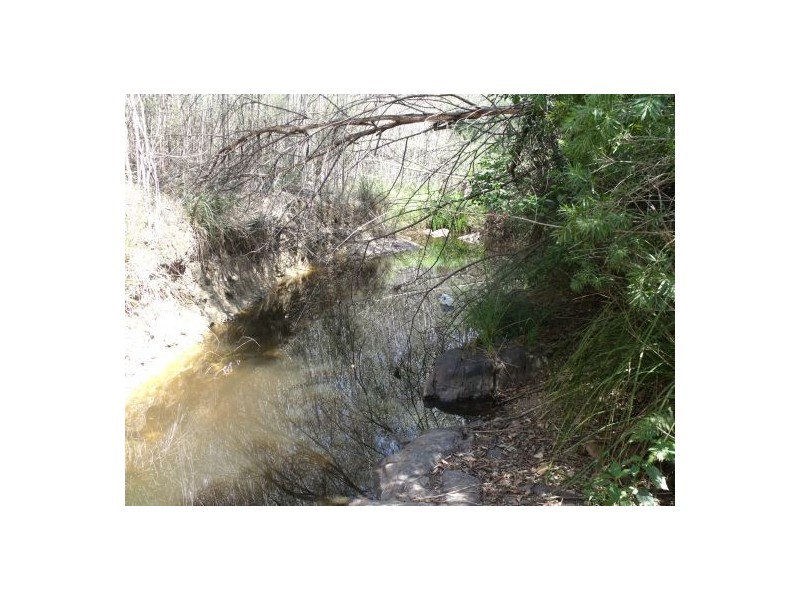 342 Ewingar Ridge Road, Ewingar NSW 2469