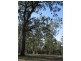 289 Whiteman Creek Rd, Grafton NSW 2460