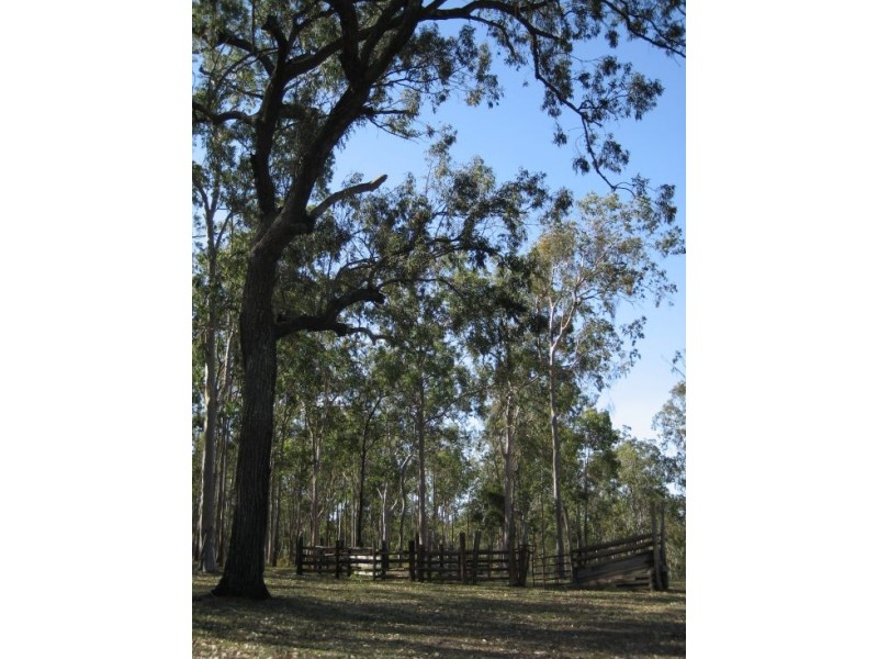 289 Whiteman Creek Rd, Grafton NSW 2460