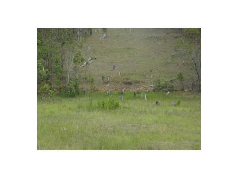 289 Whiteman Creek Rd, Grafton NSW 2460