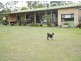 289 Whiteman Creek Rd, Grafton NSW 2460
