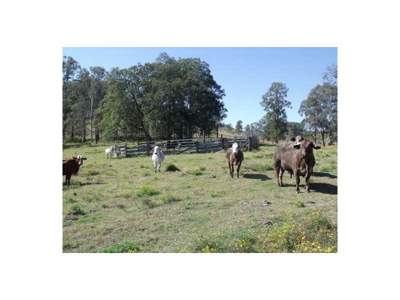 12/17315 Dyrabba Road, Casino NSW 2470