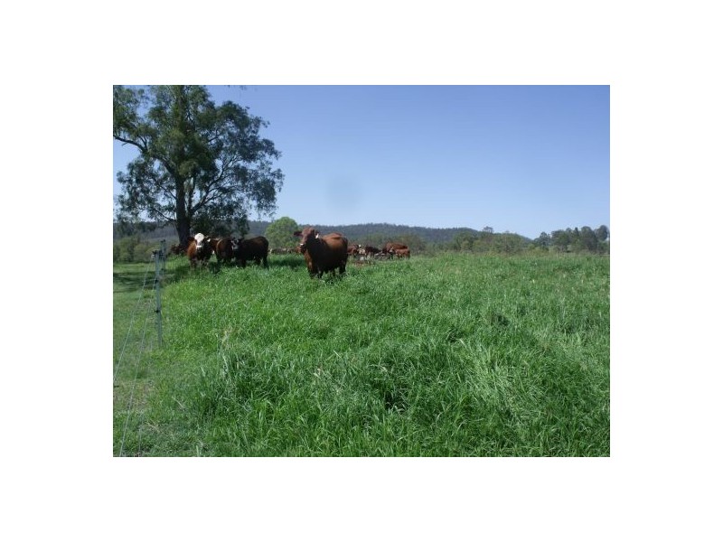 283 Rodgers Road, Tabulam NSW 2469