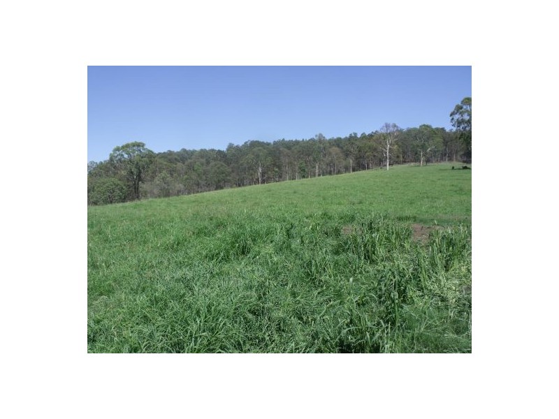 283 Rodgers Road, Tabulam NSW 2469