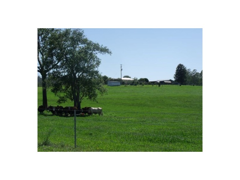 283 Rodgers Road, Tabulam NSW 2469