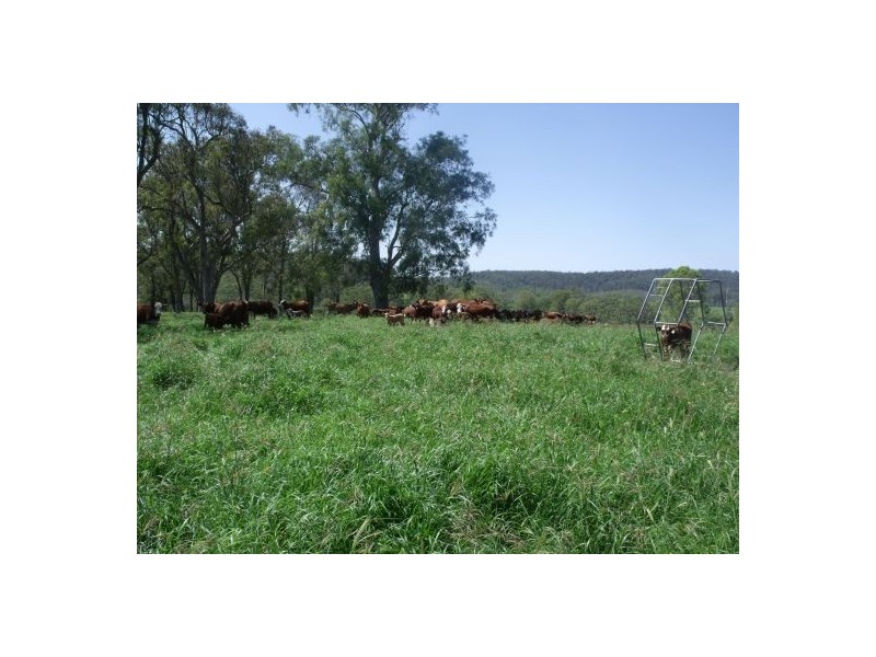 283 Rodgers Road, Tabulam NSW 2469