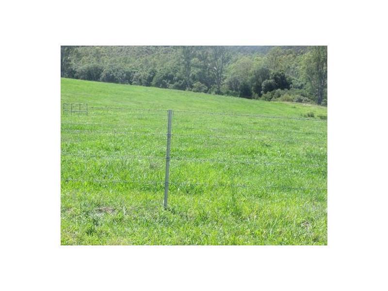 283 Rodgers Road, Tabulam NSW 2469